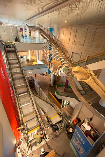 img_A night at the museum_additional_03_900x419